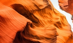 Header for Emerging Companies