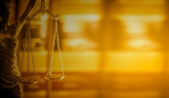 Header for Business and Human Rights