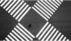 Header for Digital Assurance & Transparency