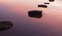 Header for Intellectual Property Litigation