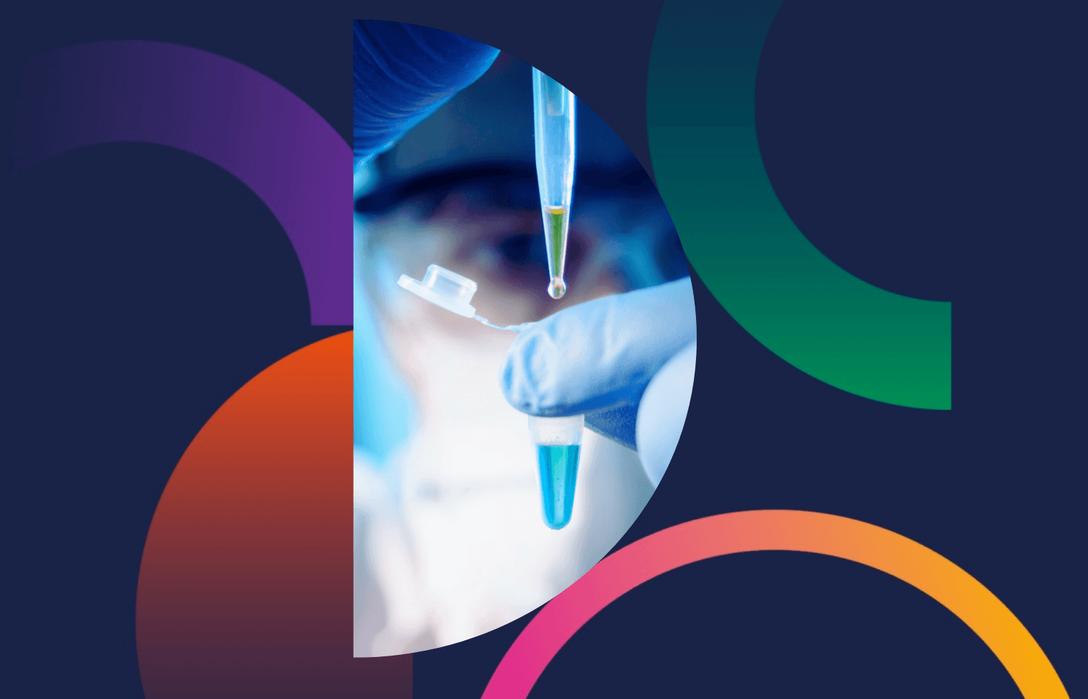 Header for Intellectual Property