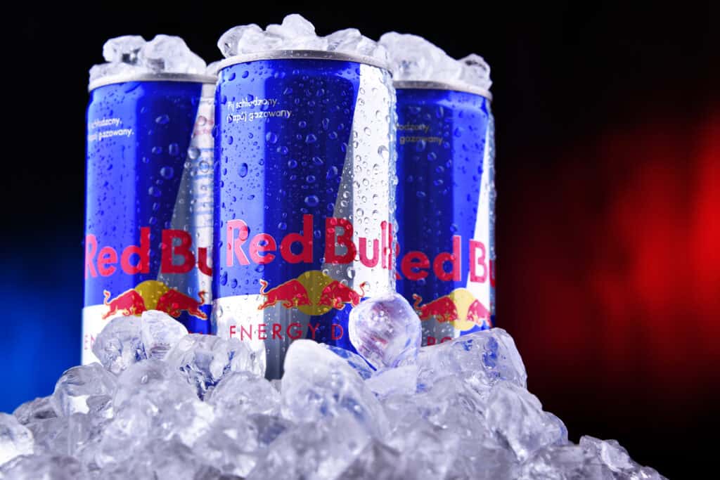 Red Bull Internships Guide How to Get Your Professional Wings Forage